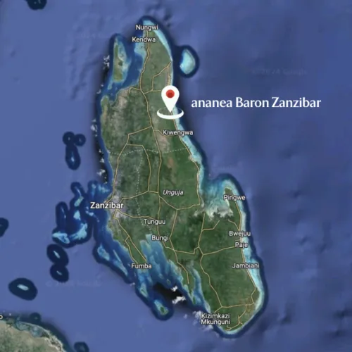 Luxury swim-up suite at ananea Baron Zanzibar